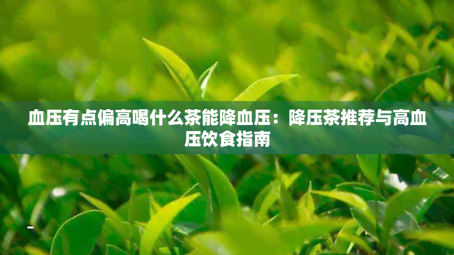 血压有点偏高喝什么茶能降血压：降压茶推荐与高血压饮食指南