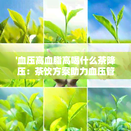 '血压高血脂高喝什么茶降压：茶饮方案助力血压管理'