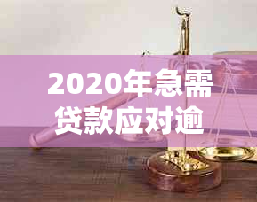 2020年急需贷款应对逾期问题，哪些平台可以提供借款服务？