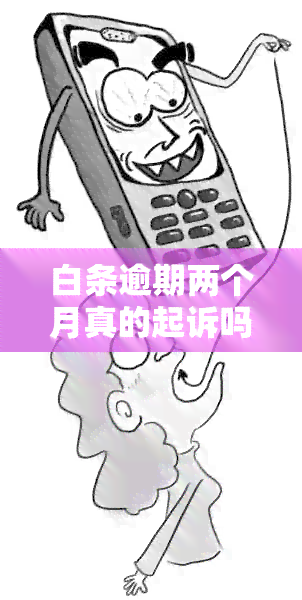 白条逾期两个月真的起诉吗？会有什么后果？