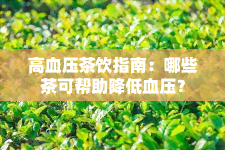 高血压茶饮指南：哪些茶可帮助降低血压？