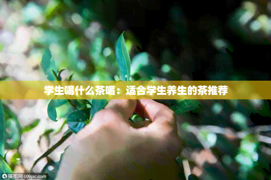 学生喝什么茶喝：适合学生养生的茶推荐