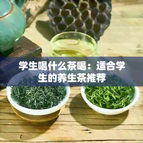 学生喝什么茶喝：适合学生的养生茶推荐