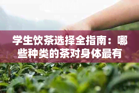 学生饮茶选择全指南：哪些种类的茶对身体最有益？