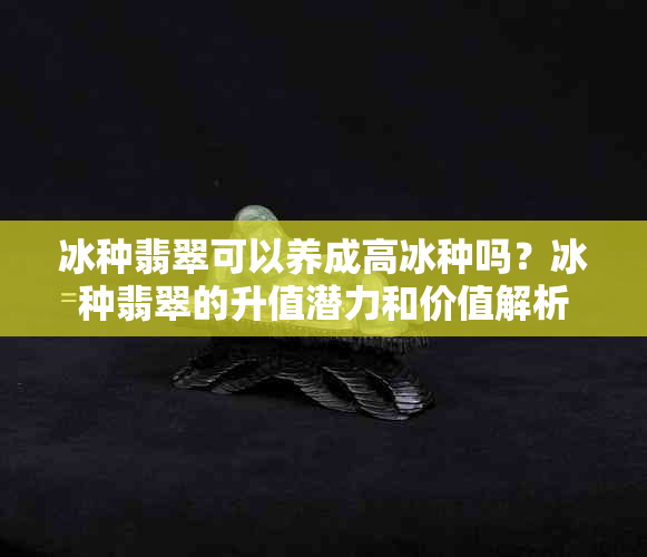 冰种翡翠可以养成高冰种吗？冰种翡翠的升值潜力和价值解析