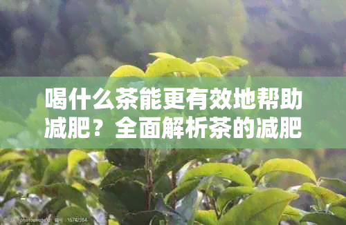 喝什么茶能更有效地帮助减肥？全面解析茶的减肥效果与适用人群