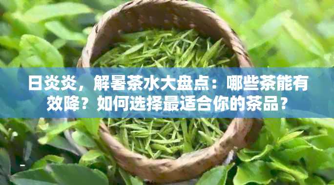 日炎炎，解暑茶水大盘点：哪些茶能有效降？如何选择最适合你的茶品？