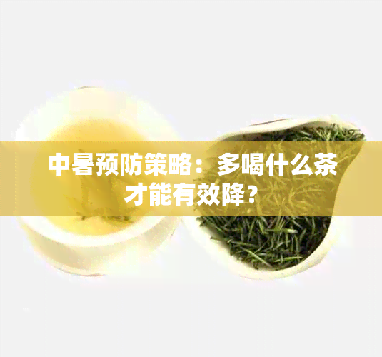 中暑预防策略：多喝什么茶才能有效降？