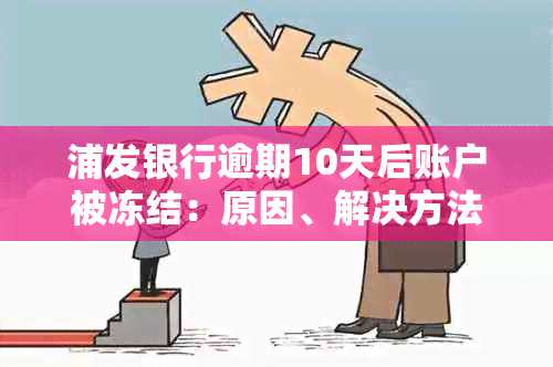 浦发银行逾期10天后账户被冻结：原因、解决方法及影响全面解析