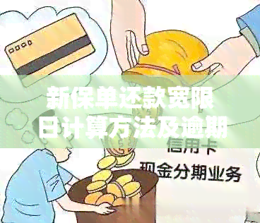 新保单还款宽限日计算方法及逾期时间全面解析