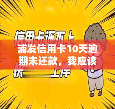 浦发信用卡10天逾期未还款，我应该如何解决？逾期后果与处理方法全解析！