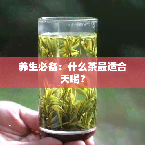 养生必备：什么茶最适合天喝？