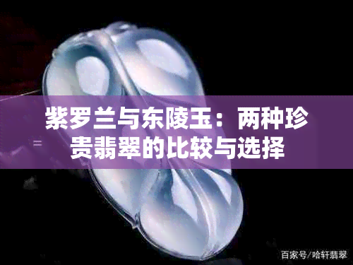 紫罗兰与东陵玉：两种珍贵翡翠的比较与选择