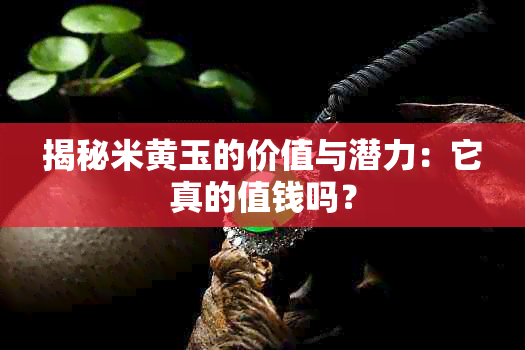 揭秘米黄玉的价值与潜力：它真的值钱吗？