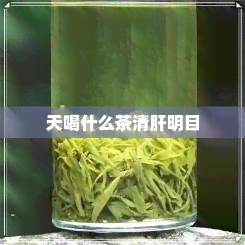 天喝什么茶清肝明目