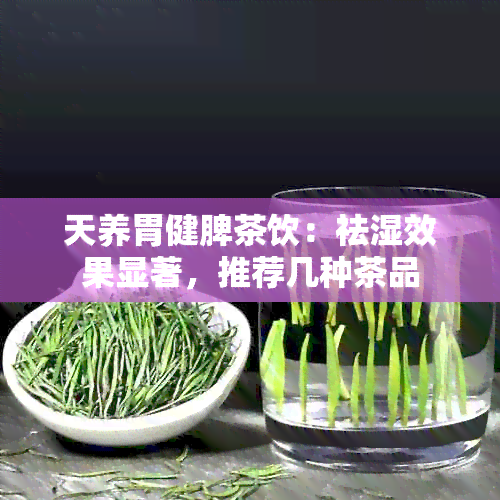 天养胃健脾茶饮：祛湿效果显著，推荐几种茶品