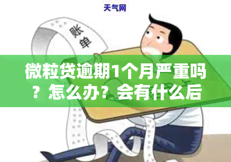 微粒贷逾期1个月严重吗？怎么办？会有什么后果？