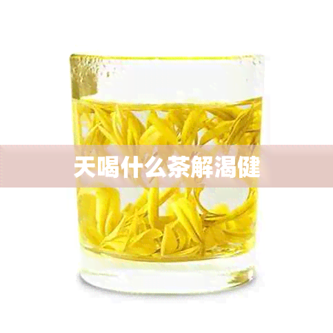 天喝什么茶解渴健