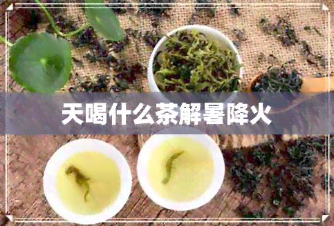 天喝什么茶解暑降火