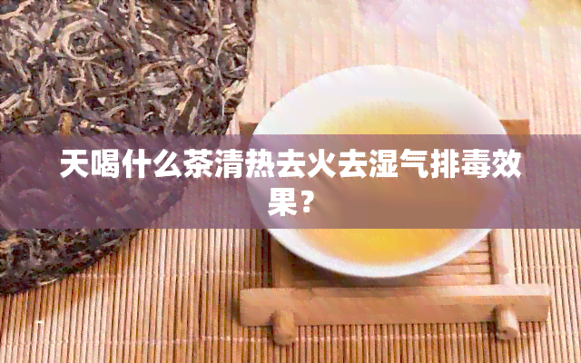 天喝什么茶清热去火去湿气排效果？