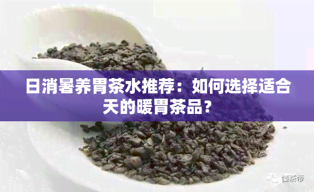 日消暑养胃茶水推荐：如何选择适合天的暖胃茶品？