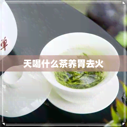 天喝什么茶养胃去火