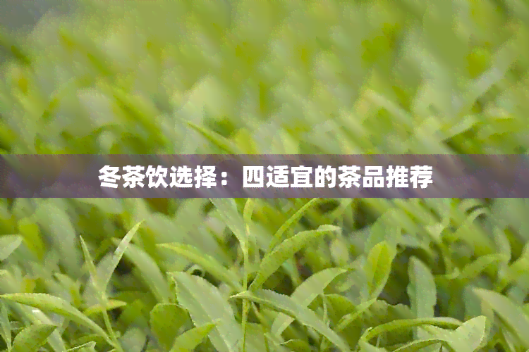 冬茶饮选择：四适宜的茶品推荐