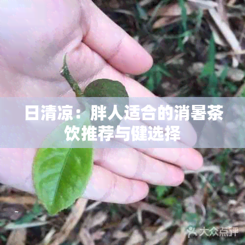 日清凉：胖人适合的消暑茶饮推荐与健选择