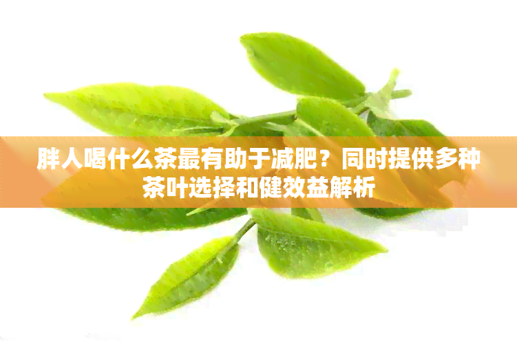 胖人喝什么茶最有助于减肥？同时提供多种茶叶选择和健效益解析