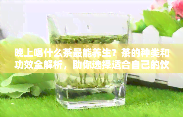 晚上喝什么茶最能养生？茶的种类和功效全解析，助你选择适合自己的饮品