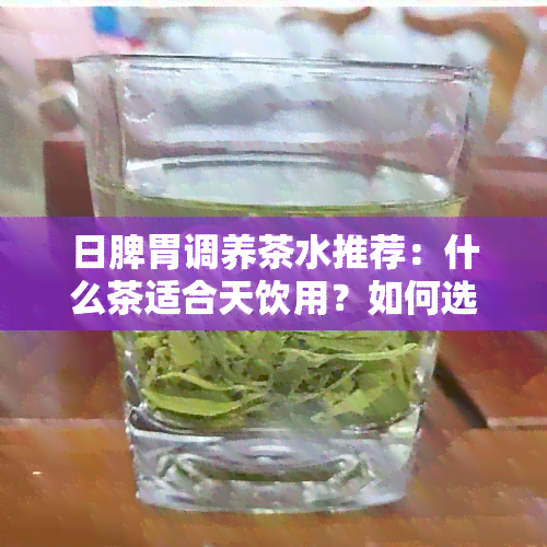 日脾胃调养茶水推荐：什么茶适合天饮用？如何选择对脾胃有益的茶叶？