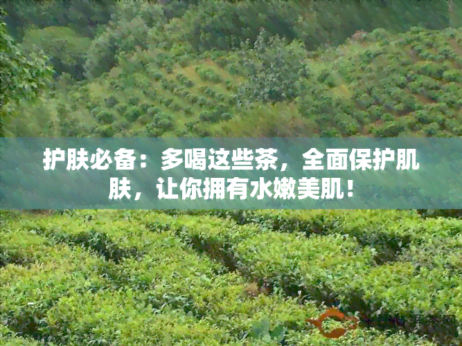 护肤必备：多喝这些茶，全面保护肌肤，让你拥有水嫩美肌！