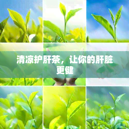 清凉护肝茶，让你的肝脏更健