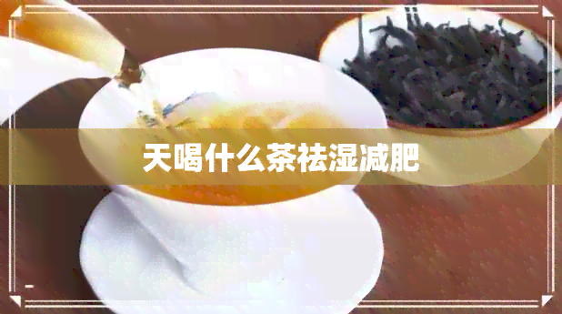 天喝什么茶祛湿减肥