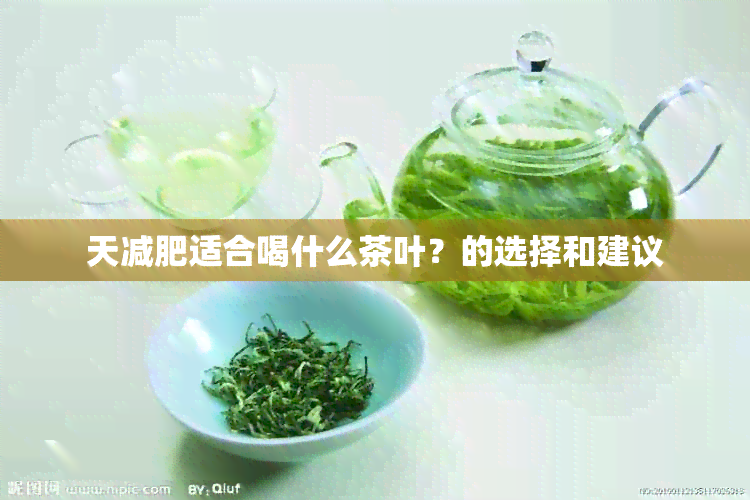 天减肥适合喝什么茶叶？的选择和建议