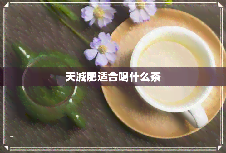 天减肥适合喝什么茶