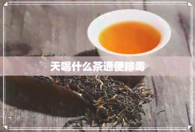 天喝什么茶通便排