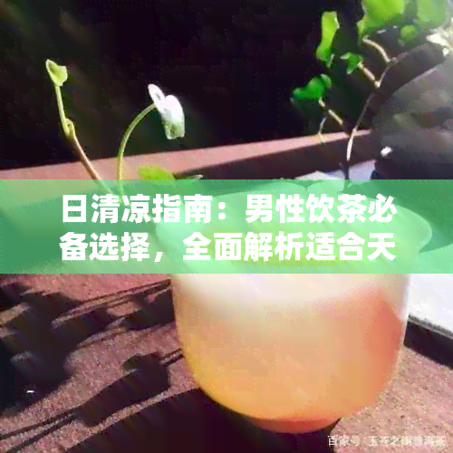 日清凉指南：男性饮茶必备选择，全面解析适合天喝的茶叶种类与功效