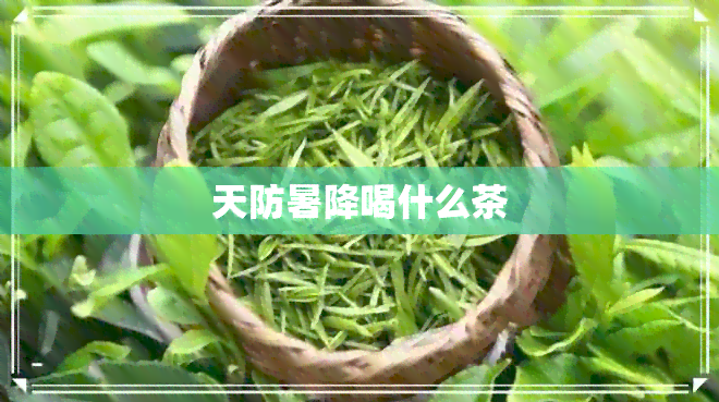 天防暑降喝什么茶