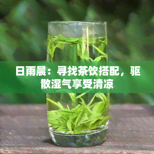 日雨晨：寻找茶饮搭配，驱散湿气享受清凉