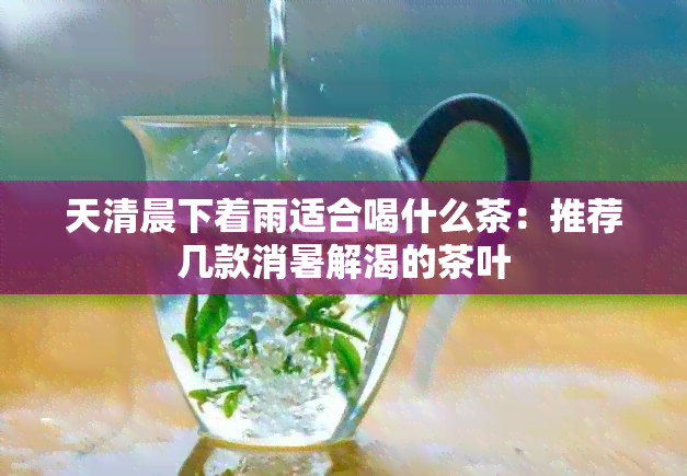 天清晨下着雨适合喝什么茶：推荐几款消暑解渴的茶叶