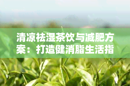 清凉祛湿茶饮与减肥方案：打造健消脂生活指南