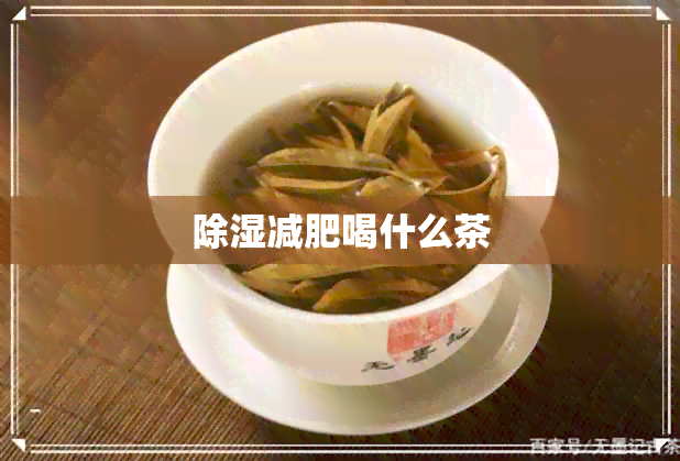 除湿减肥喝什么茶