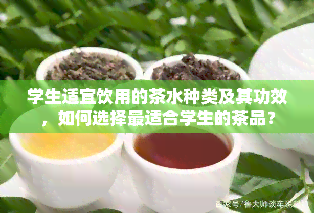 学生适宜饮用的茶水种类及其功效，如何选择最适合学生的茶品？