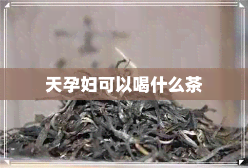 天孕妇可以喝什么茶