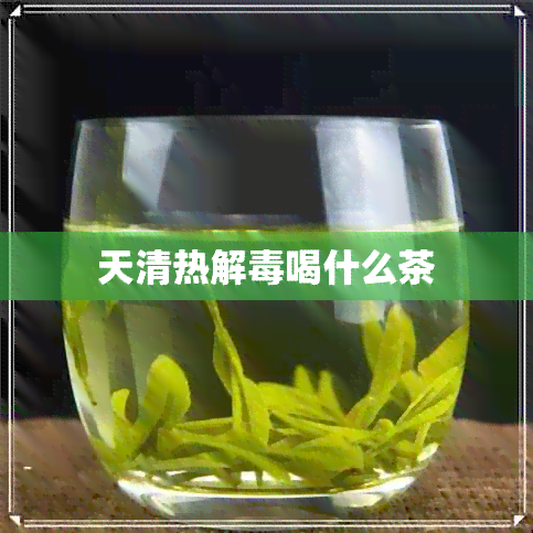 天清热解喝什么茶