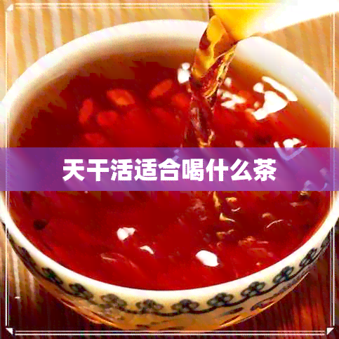 天干活适合喝什么茶