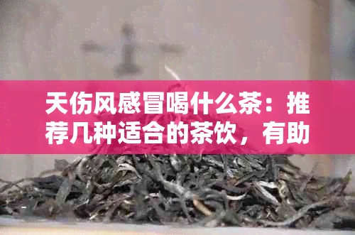 天伤风感冒喝什么茶：推荐几种适合的茶饮，有助于缓解症状。