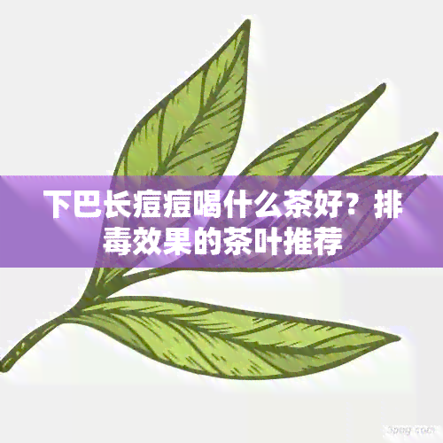 下巴长痘痘喝什么茶好？排效果的茶叶推荐