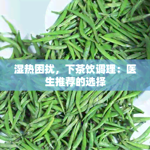 湿热困扰，下茶饮调理：医生推荐的选择